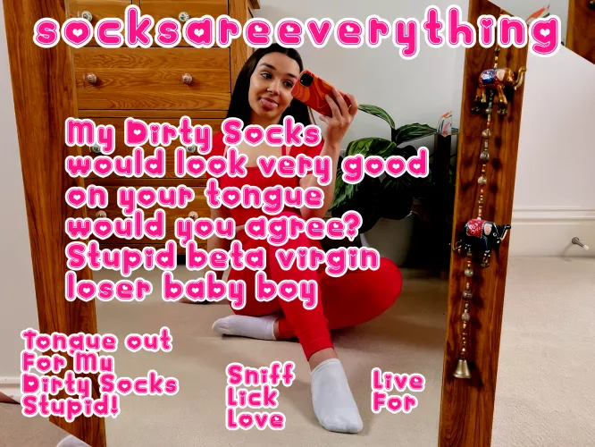 My dirty socks would look very good on your tongue you fucking stupid sockssexual beta loser!