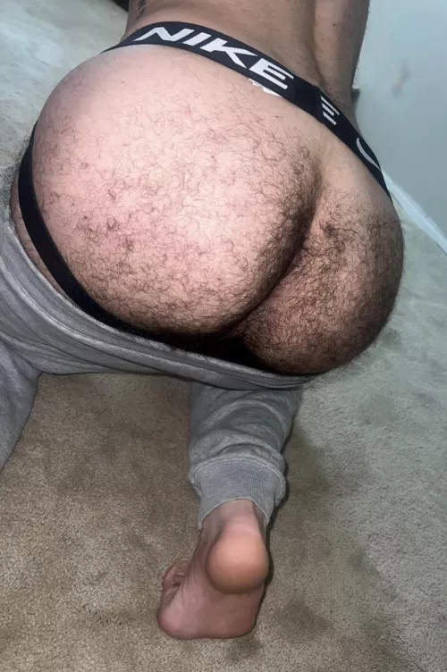 My hairy ass is back!
