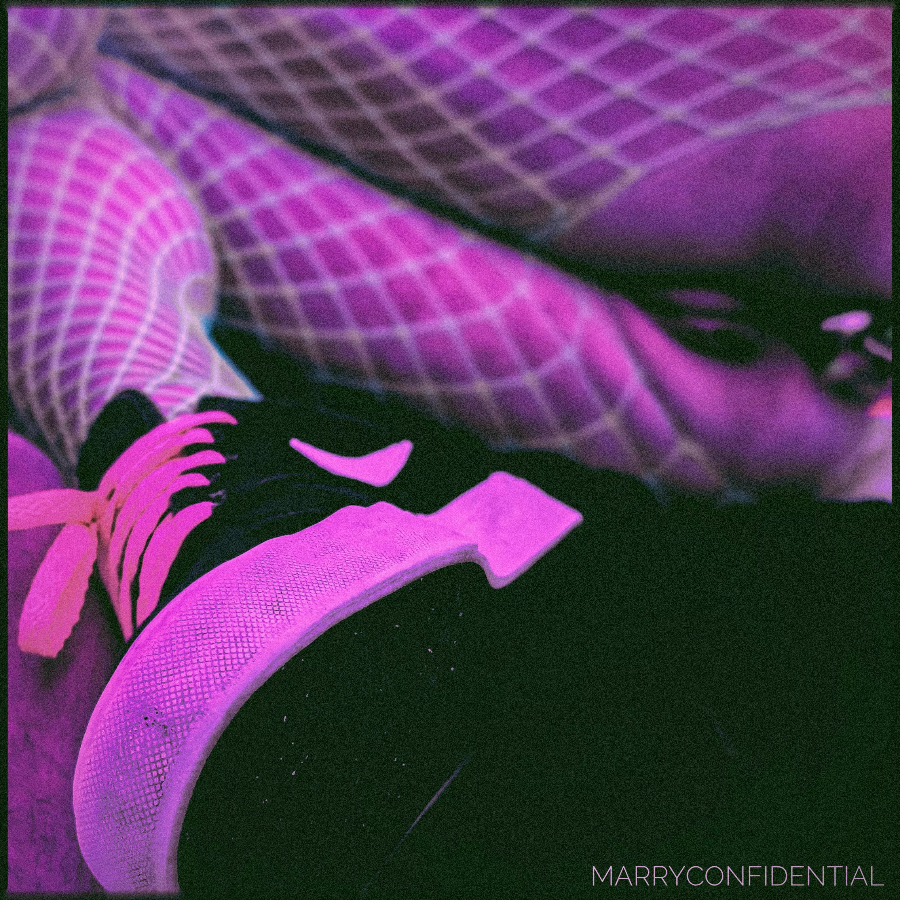 neon & a hint of something naughty