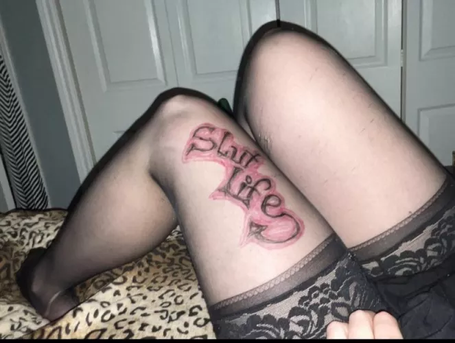 Pretty much sums it up !