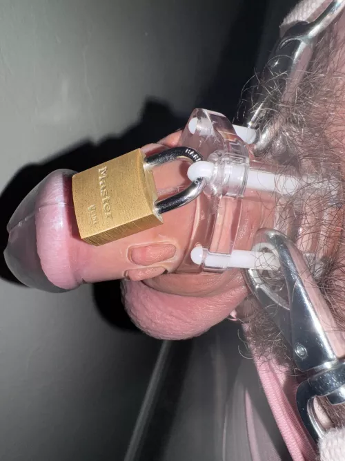 Starting a little late but day 1!