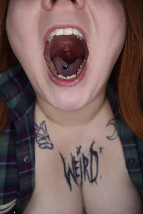 This is gonna be your last destination