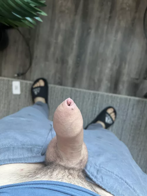 Thoughts on my little cock ? 