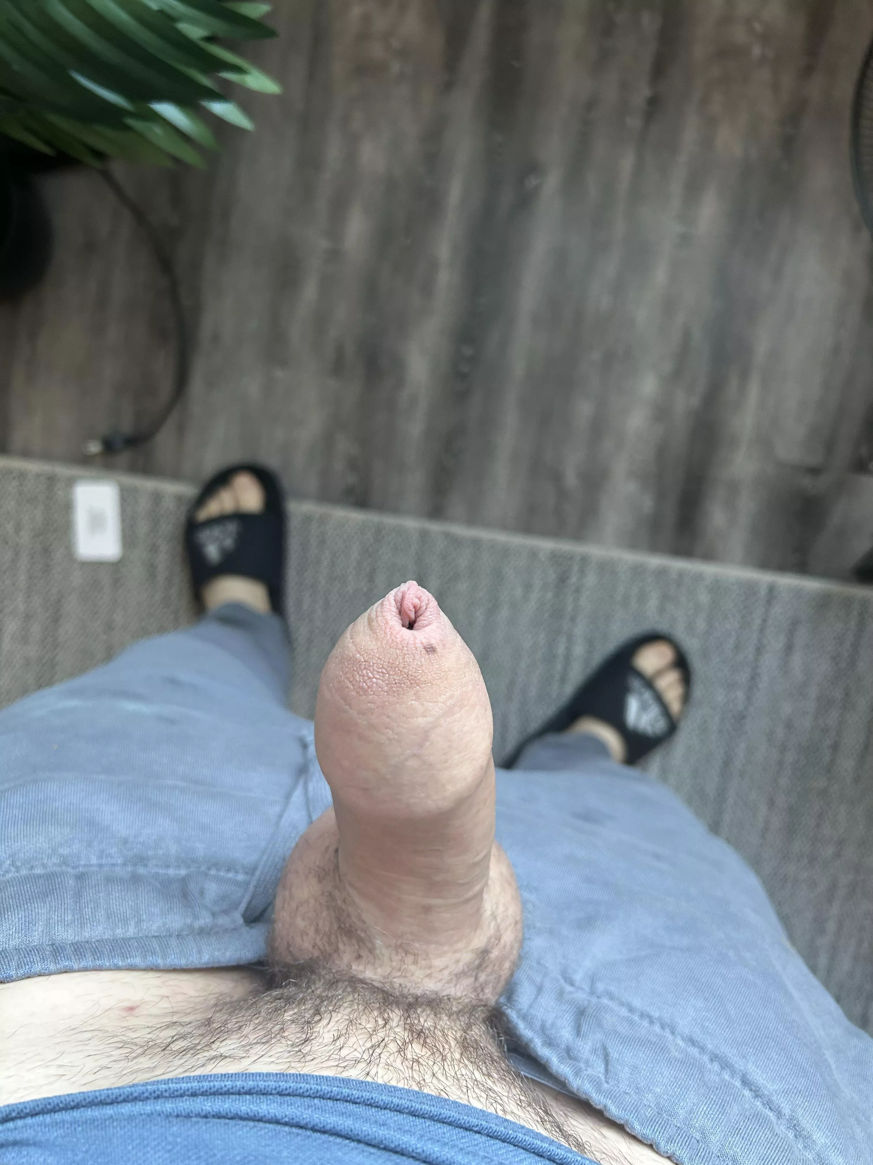 Thoughts on my little cock ? 