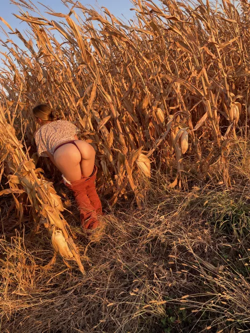Who doesn’t love a walk in the corn 😘
