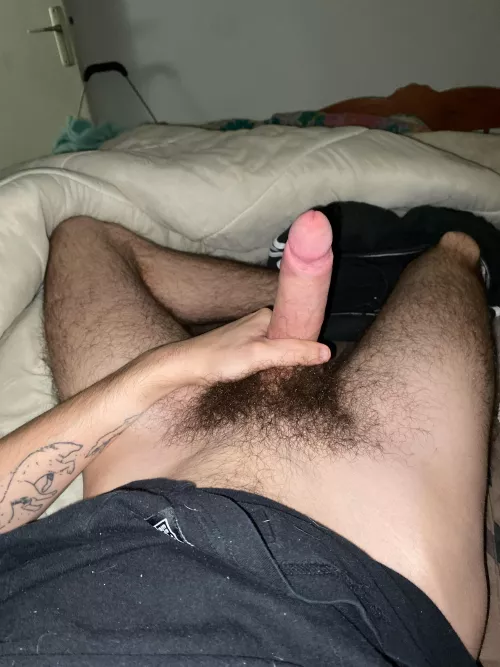 26 sc joho2611 need some hairy bros 