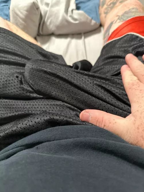 26m 4 f/mf in Bozeman