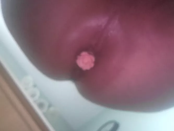 Anyone like pink roses 