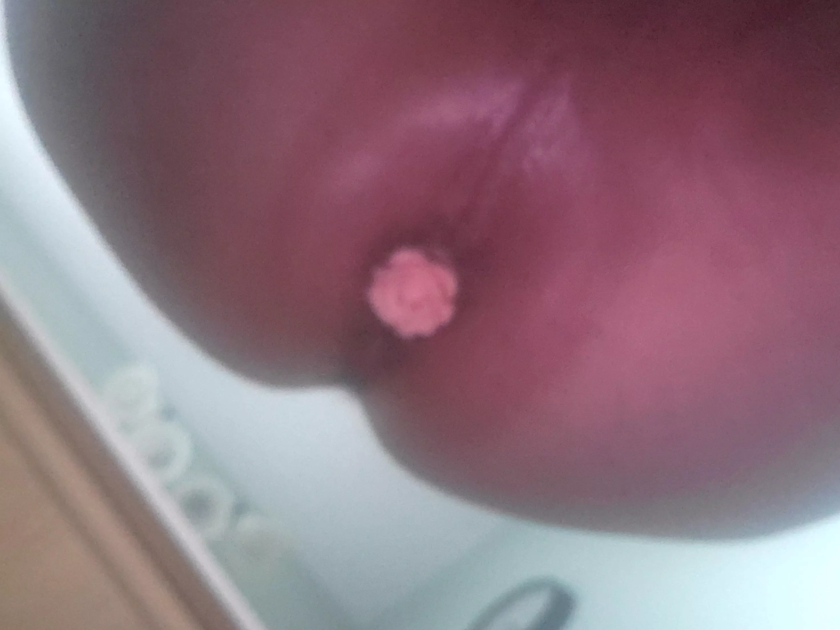 Anyone like pink roses 