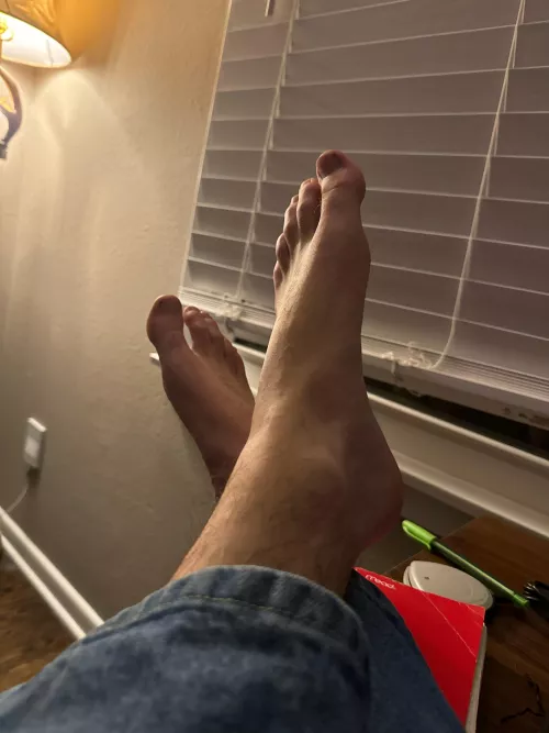 Basking in the lamp light