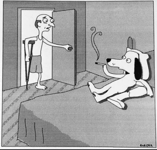 be on (one's) last legs