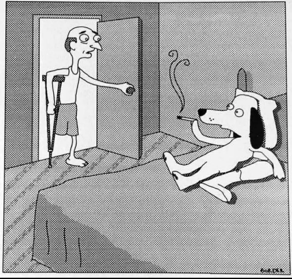 be on (one's) last legs