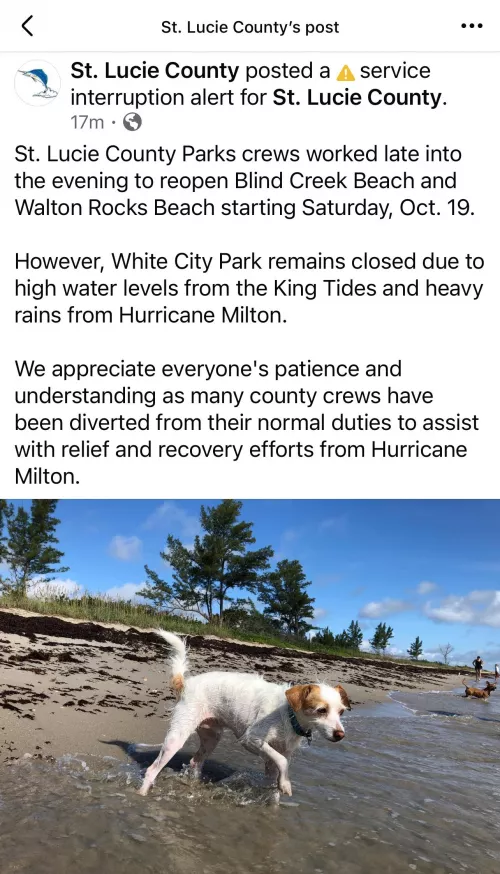 Blind Creek Opening Saturday 10/19