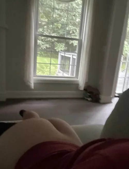 Can someone please cum tribute my ass