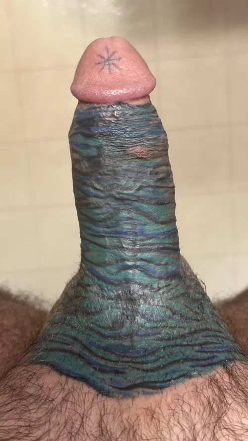 Dick Tattoo Healing Update 