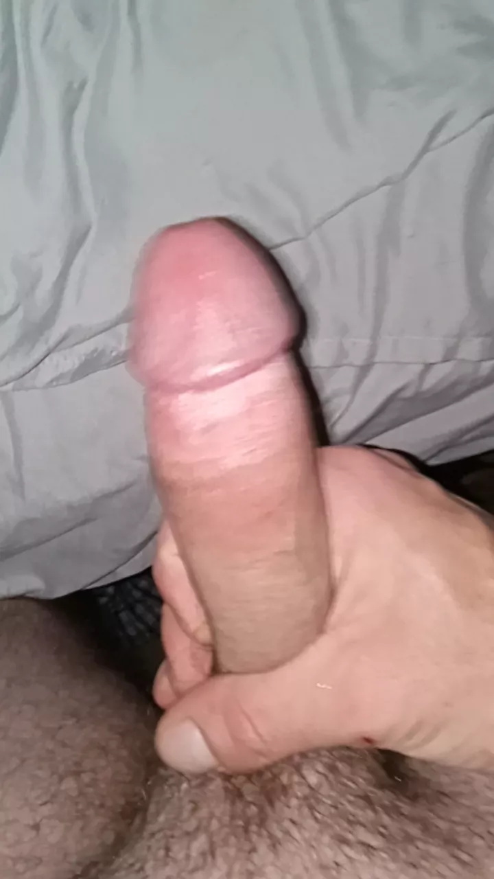 Dms open