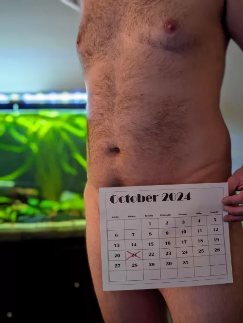 Due to lack of interest tomorrow is cancelled [wpc]