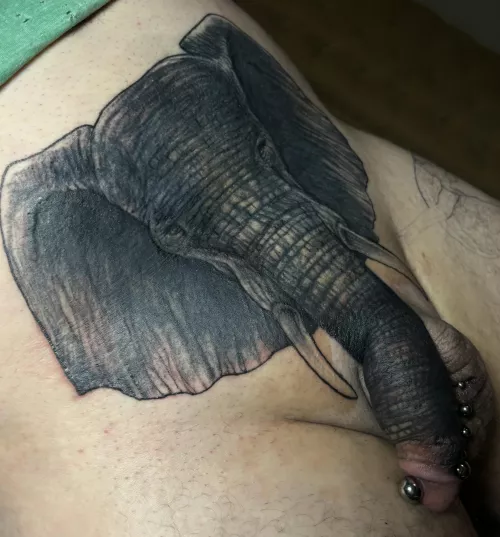 Elephant