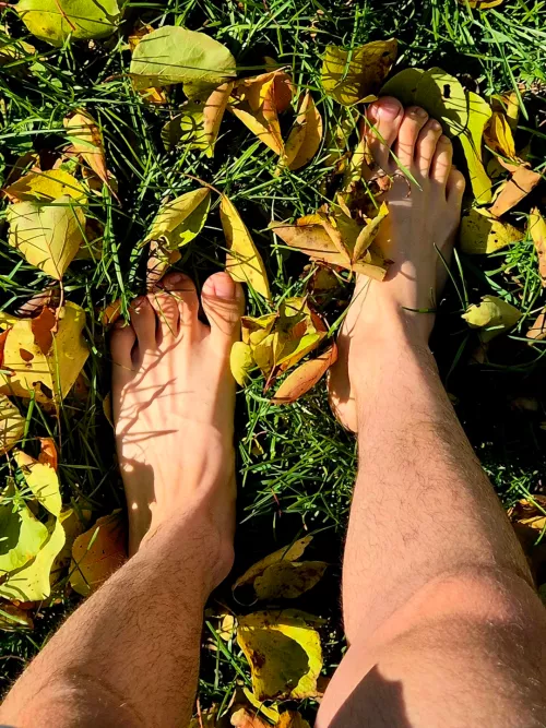 Fall colors under my feet 