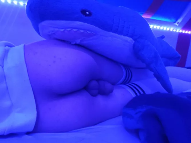 Haj enjoying the cake :3