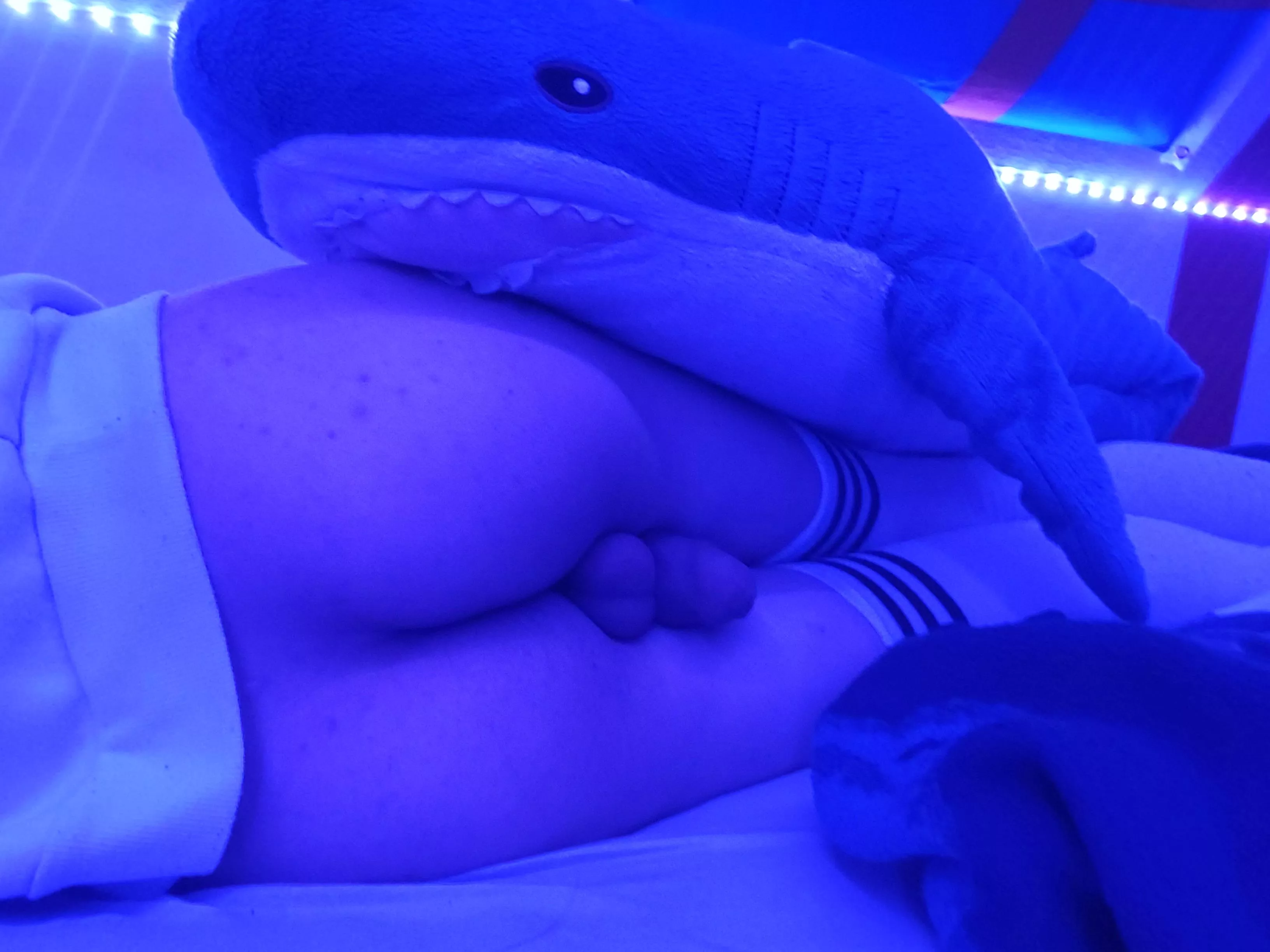 Haj enjoying the cake :3