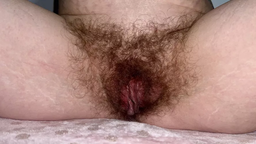 How does my hairy bush look?