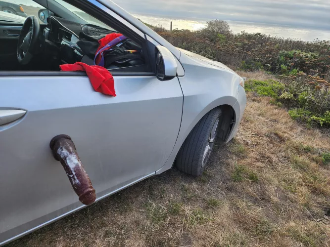 I love to use my toy outdoor, I would like to find someone who also enjoys big toys, I'm from area 831 California 