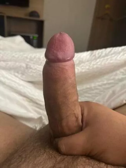 Last day in Calgary! I need my dick drained. Can’t host but can drive 