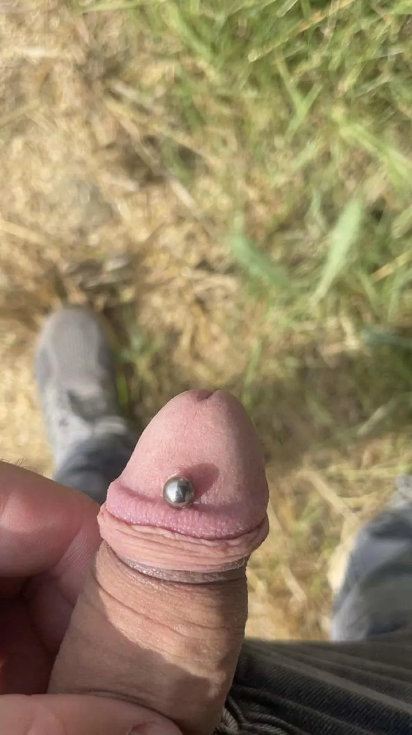 Looking for some one to Cut my cock in Germany 