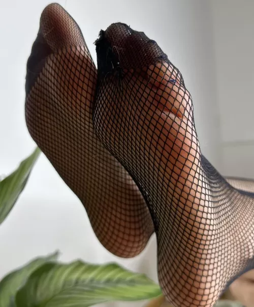 Mesh feet look so slutty, dont they