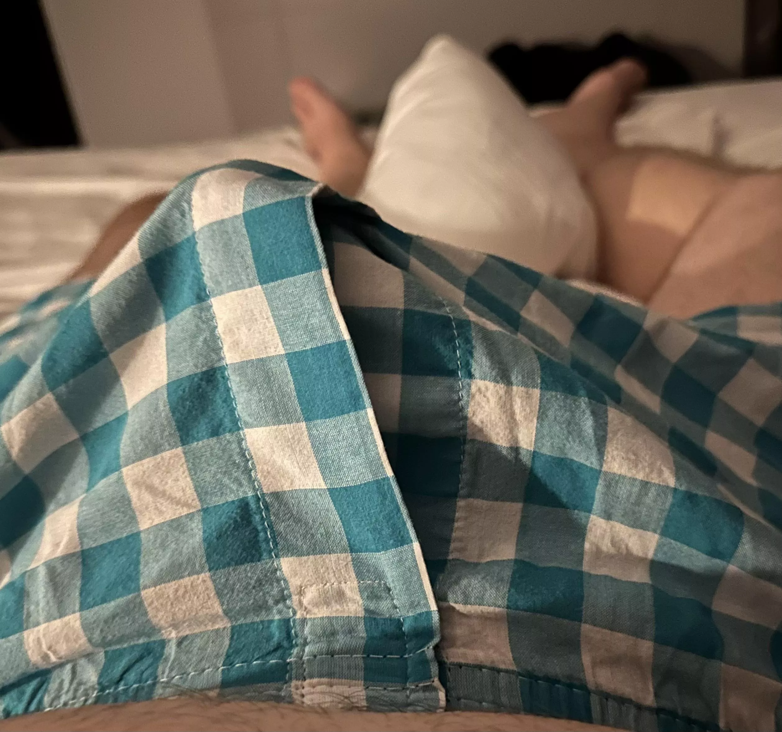 Morning wood (28)