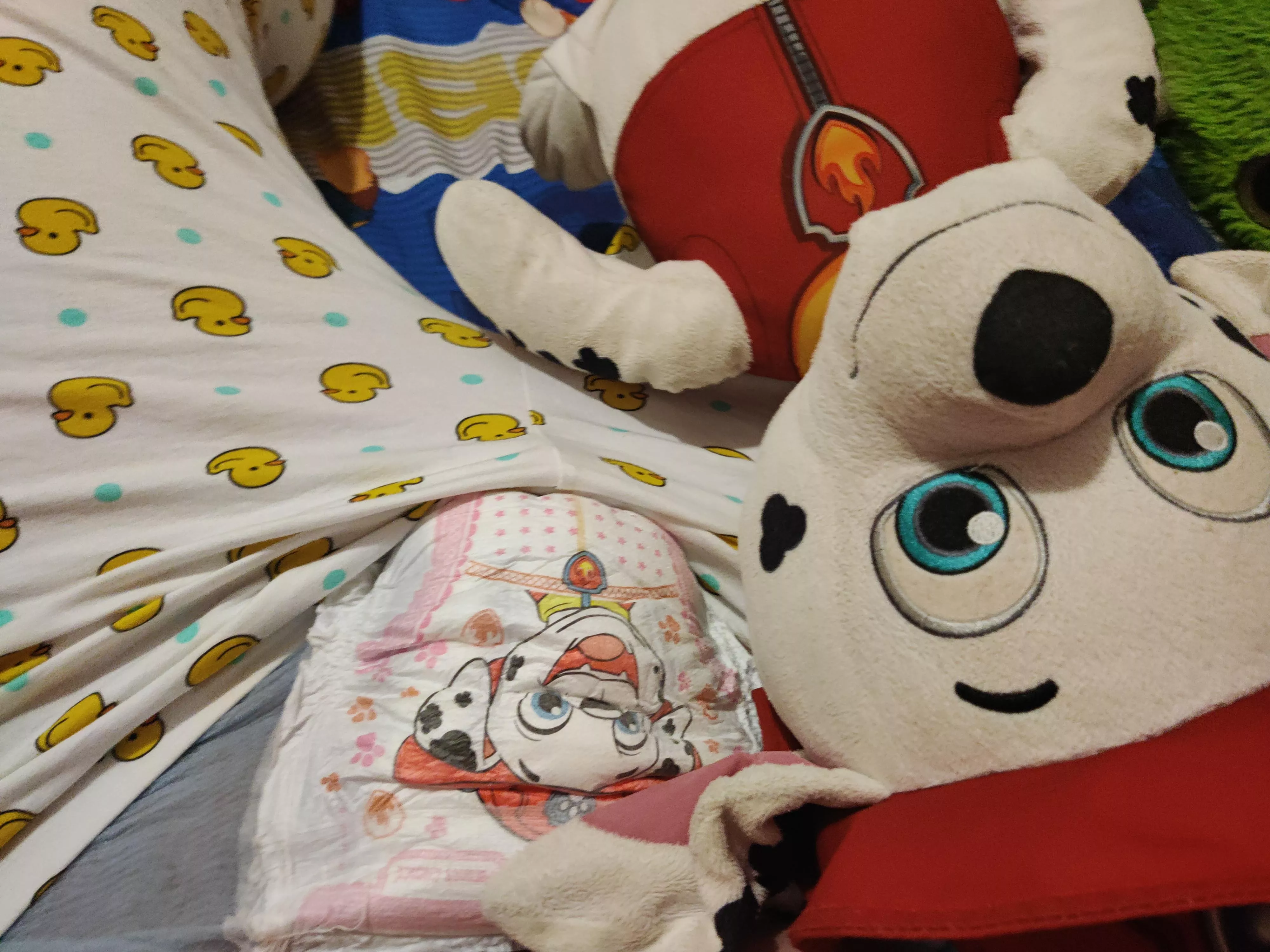 My big boy Marshall pull-ups 