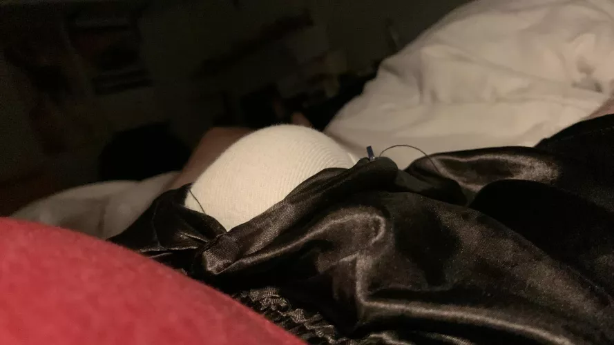 My tent this morning (42)