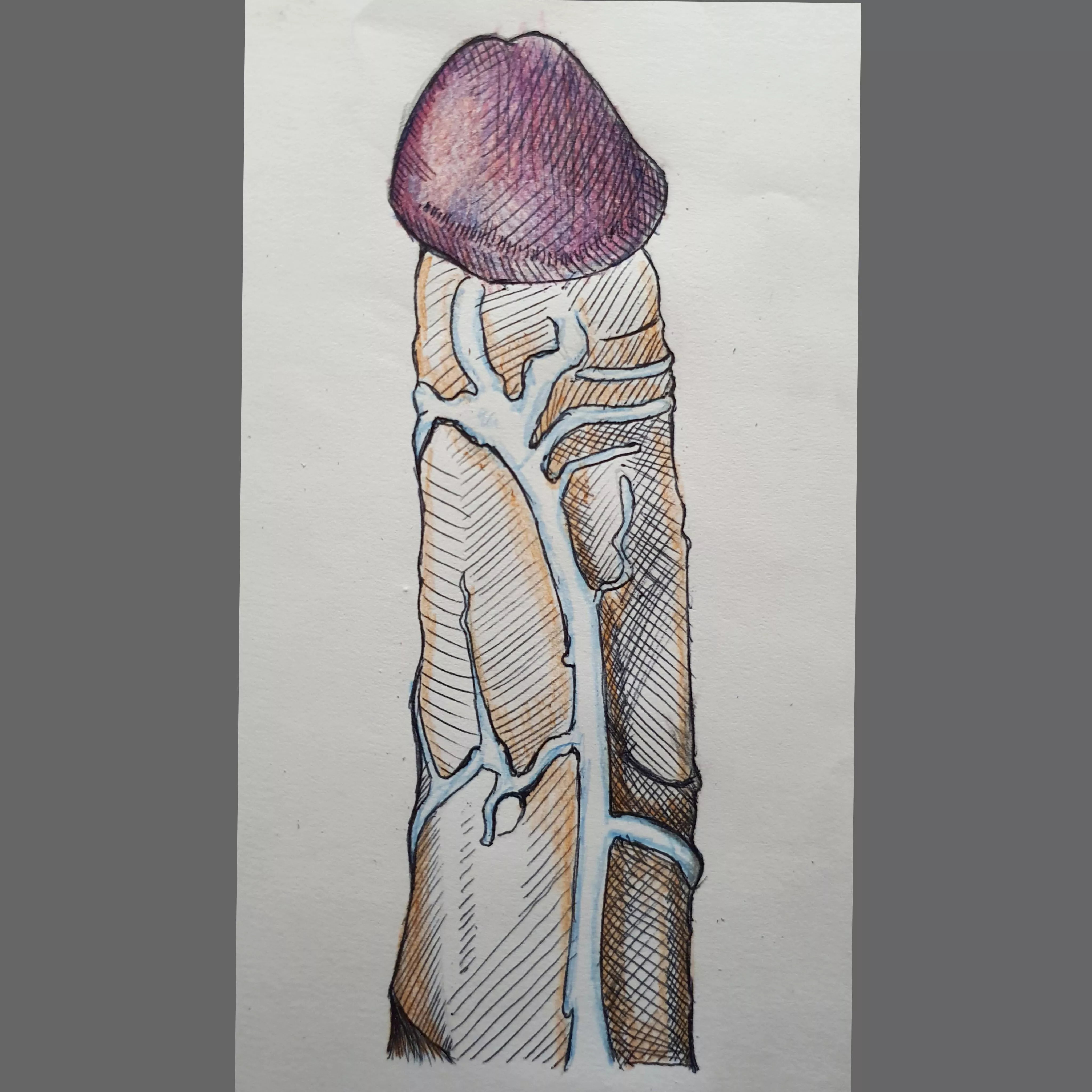 P - C drawing made by me 