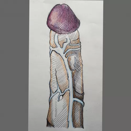 P - C drawing made by me 