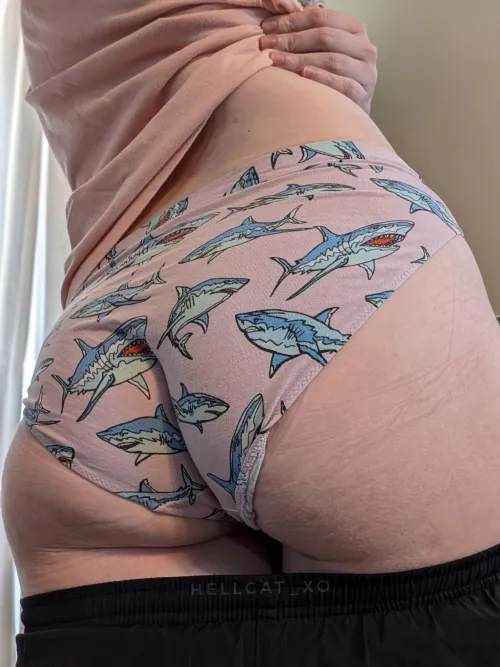 shark infested panties