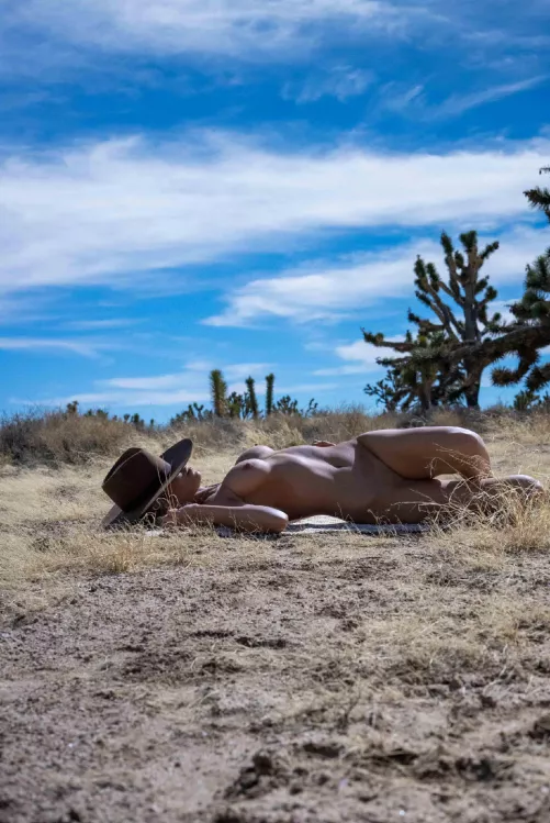 Shiver and quiver in the winter sun