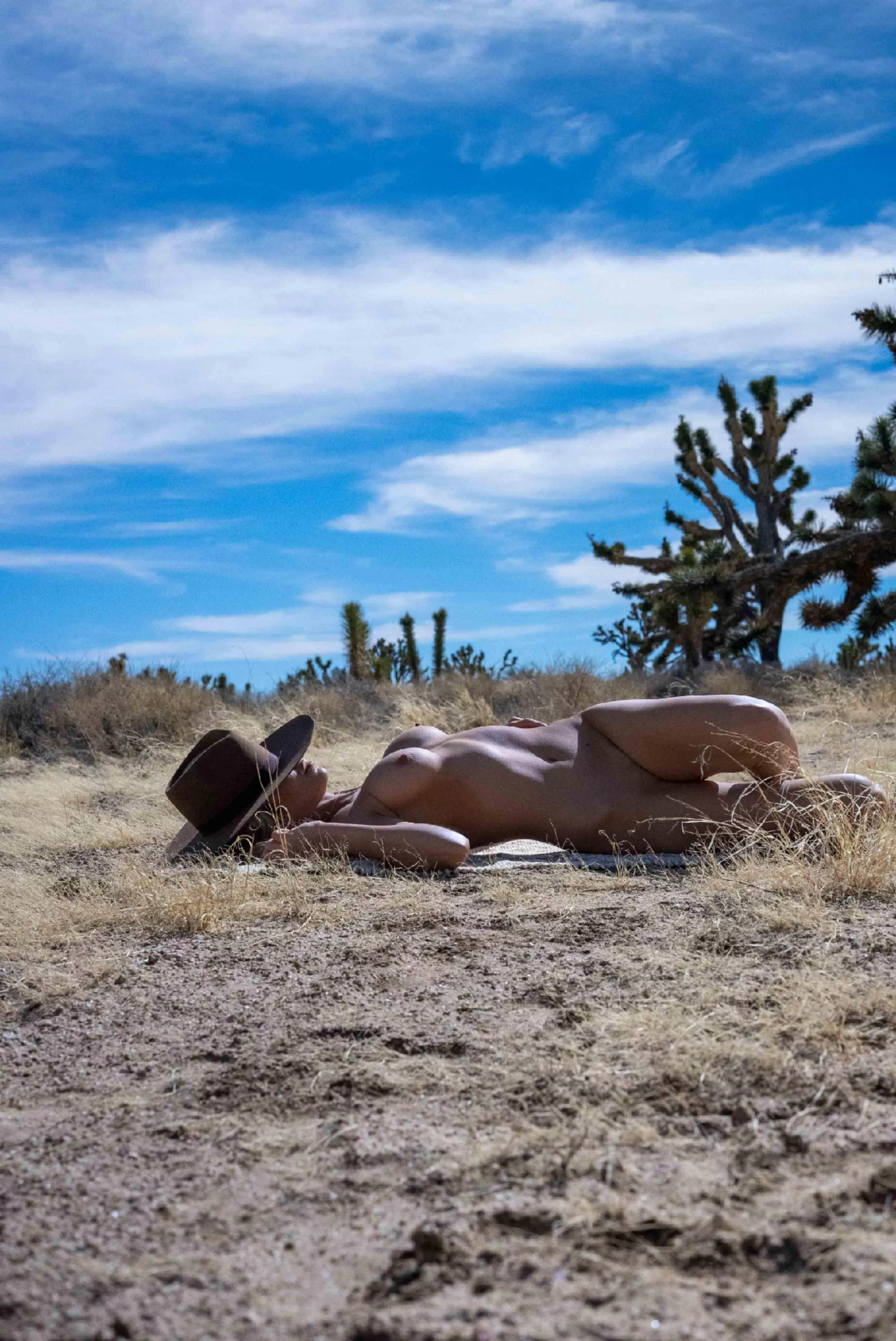 Shiver and quiver in the winter sun