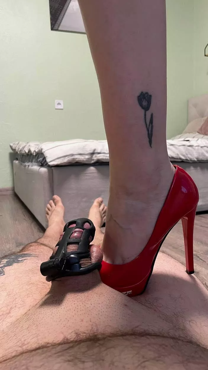Warned my slave that if he tries to remove his chastity again, I'll stomp on his balls.