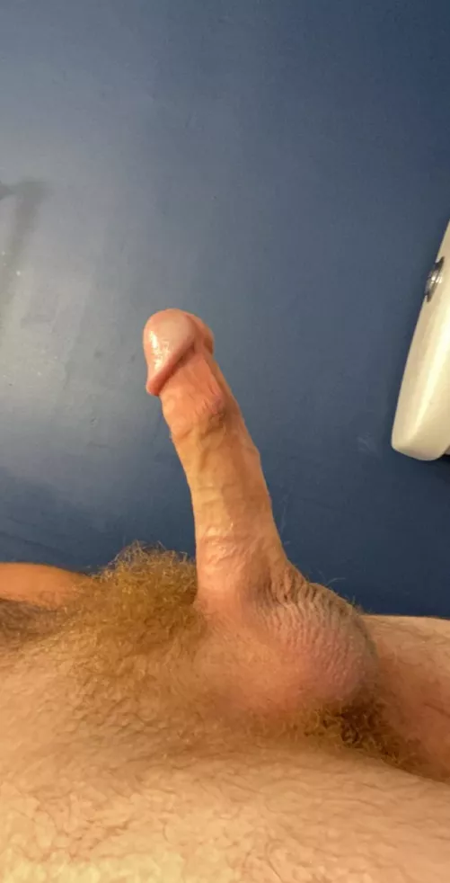 23M NWI looking for a willing throat M4F