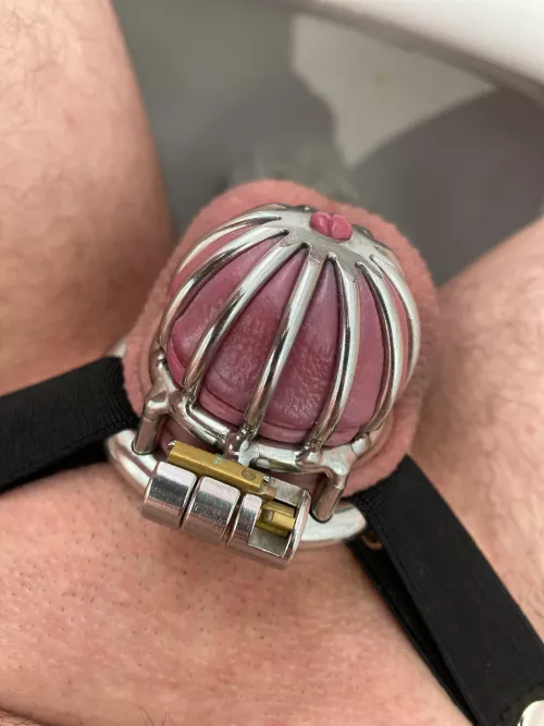 any tips about permanent chastity? ❤️