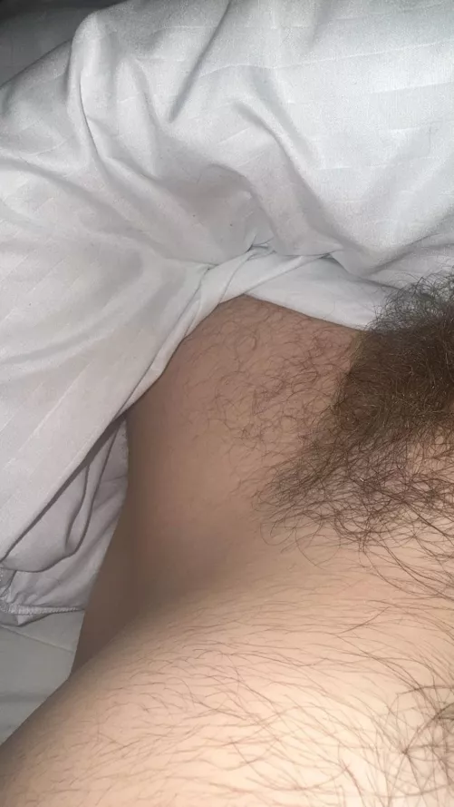 Anyone want discreet head? Gateshead area - can travel (24M)