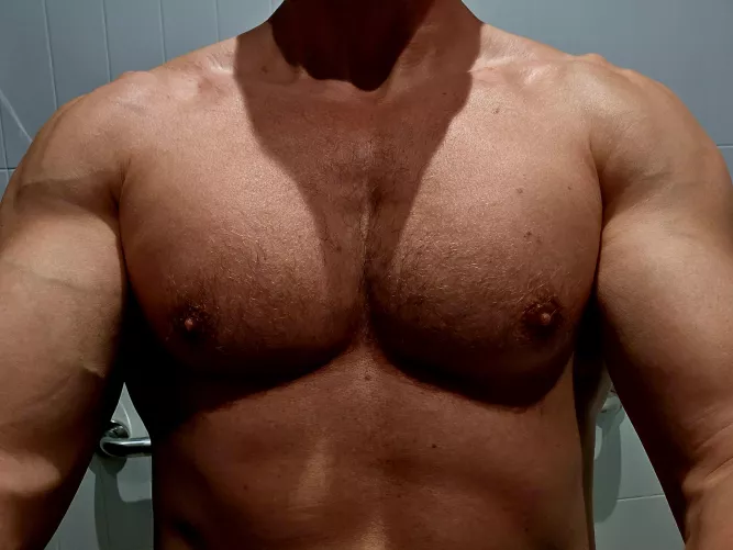 Catalyst Elmwood Selfie 