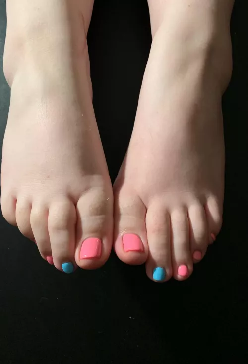 Cotton Candy, Anyone? 