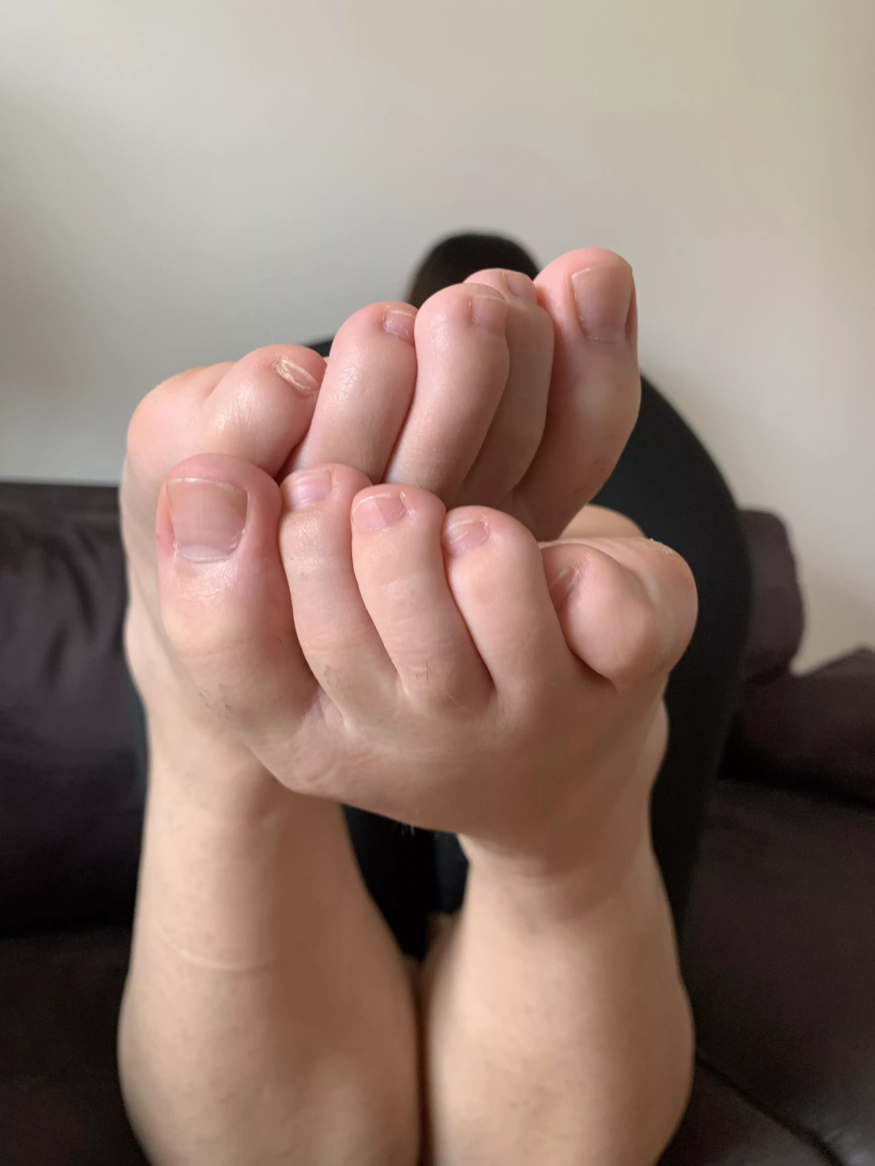 do they look like a piece of art?