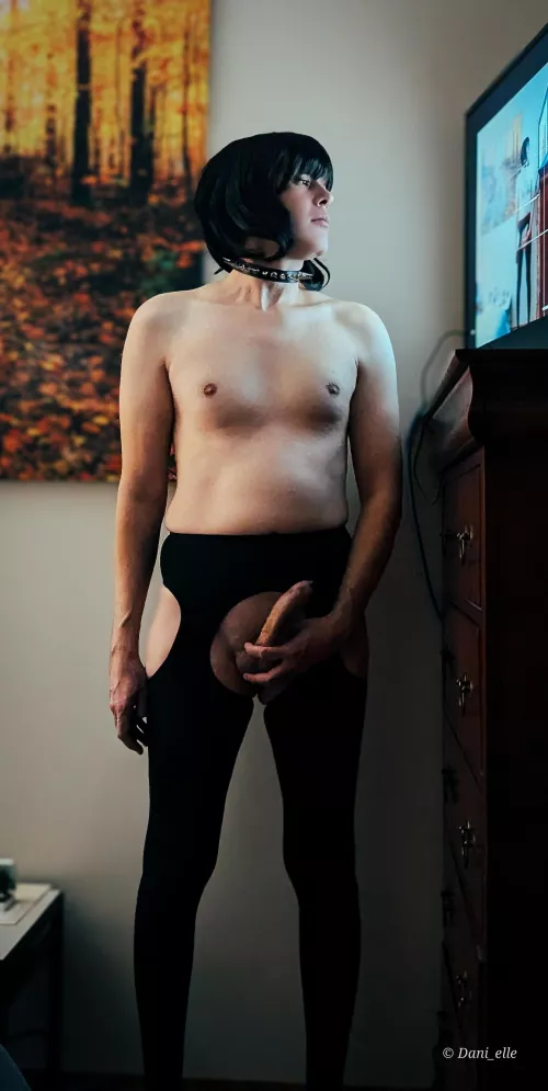 Do you like my tights