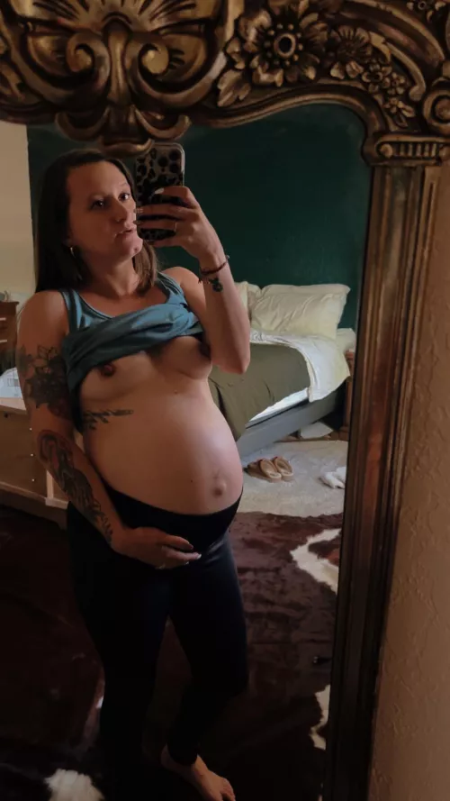 Do you like pregnant mom tits?