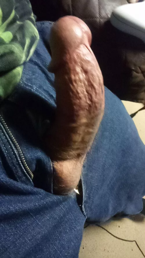 Had to let him out (32)