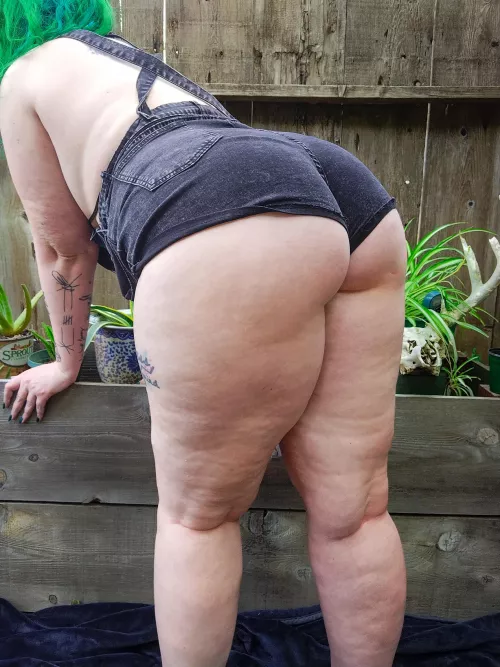 I need some seed so bad