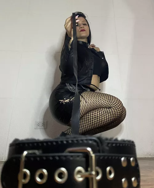 I'm looking for a new pet that is good and wants to empty its bank account with me